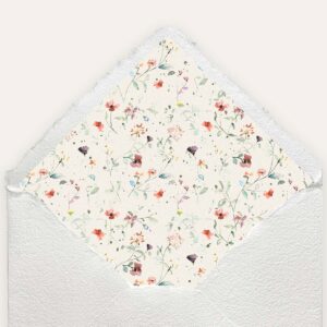 Sobre + forro de colección